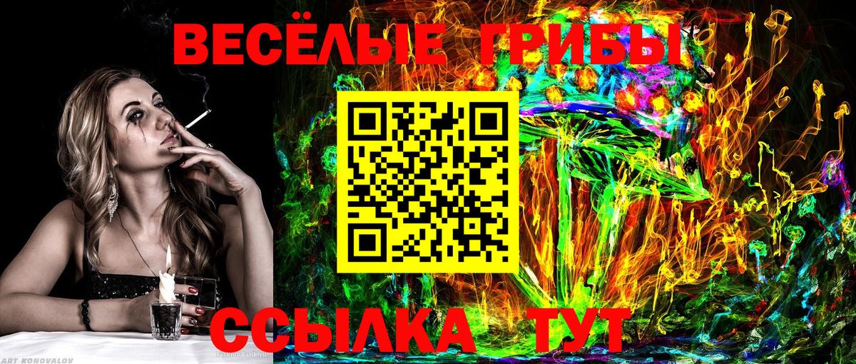 Псилоцибиновые грибы ЛСД Верхняя Пышма