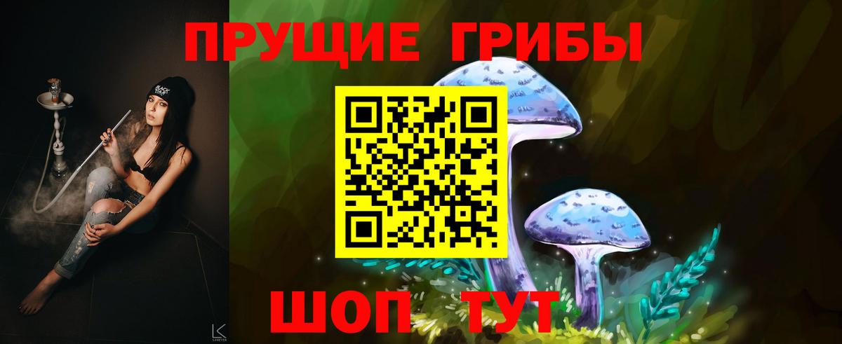 Верхняя Пышма  Галлюциногенные грибы мухоморы  Вход с VPN 