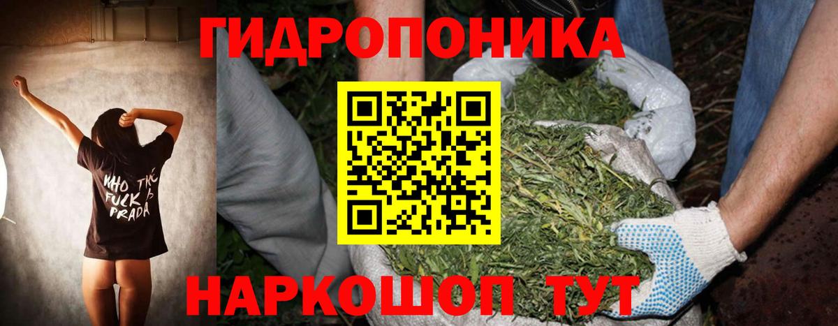 Codein Верхняя Пышма